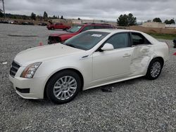 Salvage cars for sale at Mentone, CA auction: 2010 Cadillac CTS Luxury Collection