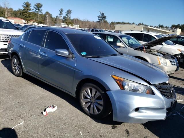 2011 Honda Accord EXL