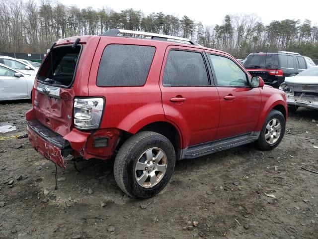 2011 Ford Escape Limited