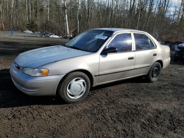 1999 Toyota Corolla VE