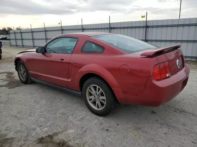 2005 Ford Mustang