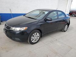 Salvage cars for sale from Copart Farr West, UT: 2013 KIA Forte EX