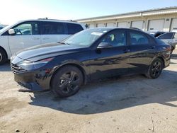 Salvage cars for sale at Louisville, KY auction: 2023 Hyundai Elantra SEL