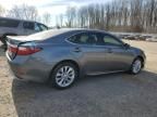 2013 Lexus ES 300H