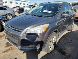 Salvage cars for sale from Copart Albuquerque, NM: 2013 Ford Escape SEL