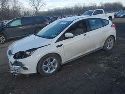 Ford Focus SE salvage cars for sale: 2014 Ford Focus SE