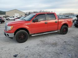 Salvage trucks for sale at Lawrenceburg, KY auction: 2011 Ford F150 Supercrew