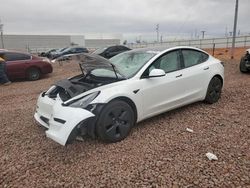 Salvage cars for sale from Copart Phoenix, AZ: 2023 Tesla Model 3