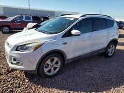 Salvage cars for sale at auction: 2014 Ford Escape SE