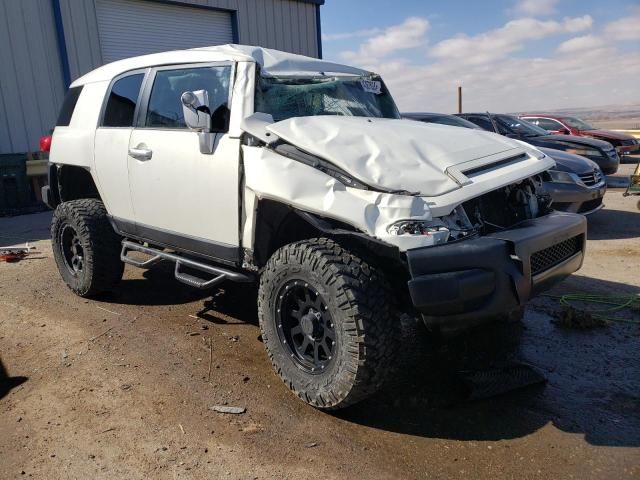 2010 Toyota FJ Cruiser