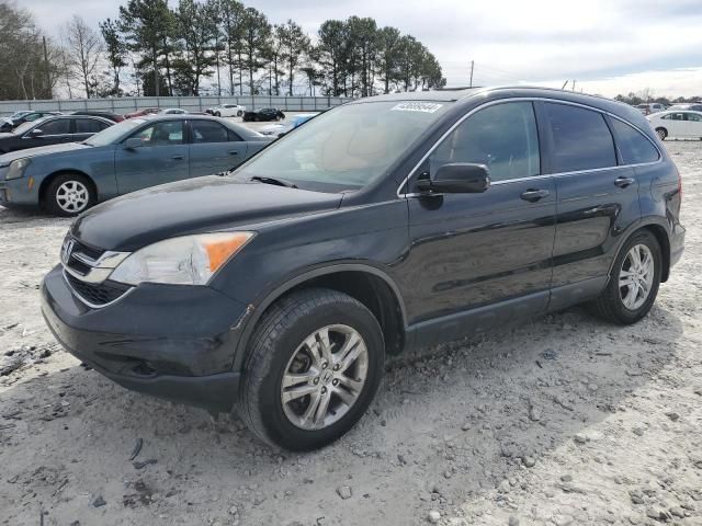 2010 Honda CR-V EXL