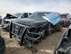 Salvage cars for sale at Amarillo, TX auction: 2023 Nissan Titan S