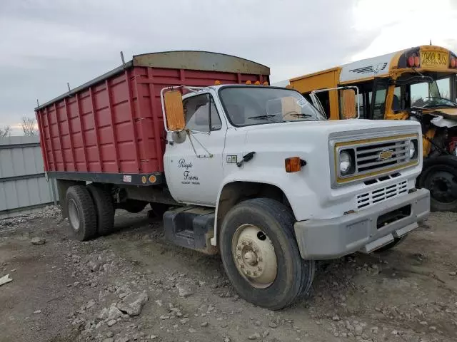 1987 Chevrolet C6500 C7D042