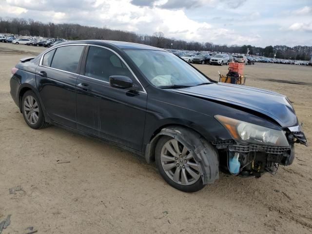 2011 Honda Accord EXL