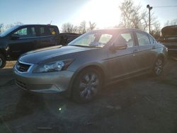Salvage cars for sale from Copart Baltimore, MD: 2008 Honda Accord EX