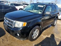 Salvage cars for sale from Copart Bridgeton, MO: 2010 Ford Escape XLT