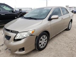 Salvage cars for sale from Copart Temple, TX: 2009 Toyota Corolla Base
