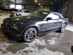 Salvage cars for sale at Gaston, SC auction: 2014 Ford Mustang