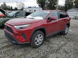 2023 Toyota Rav4 LE en venta en Graham, WA