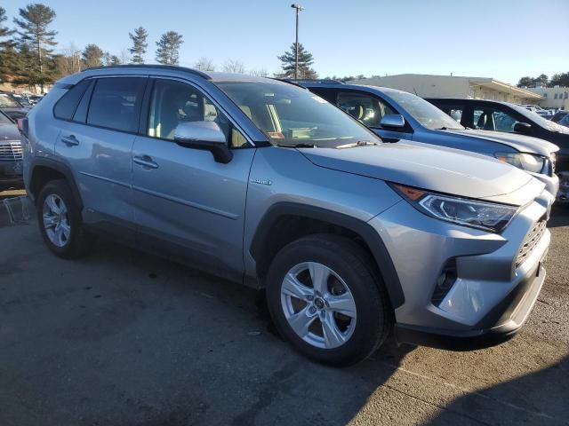 2019 Toyota Rav4 XLE