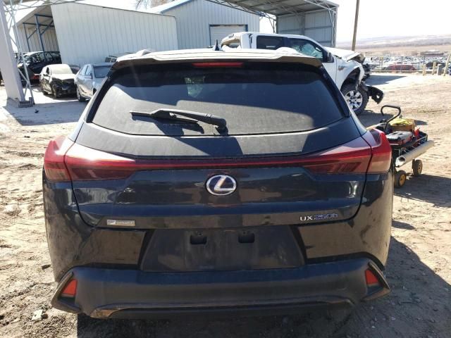 2020 Lexus UX 250H