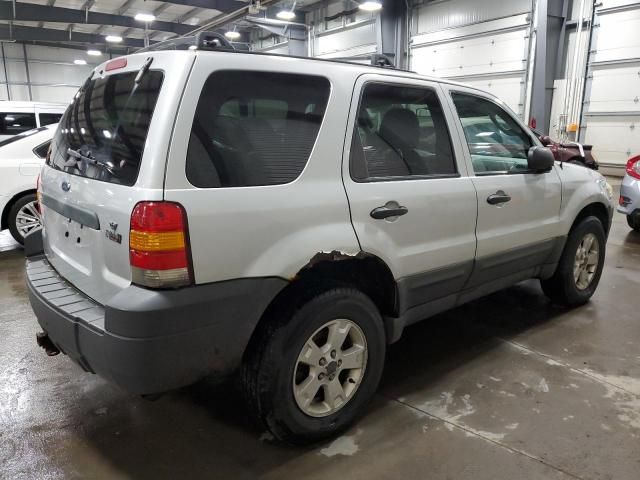 2005 Ford Escape XLT