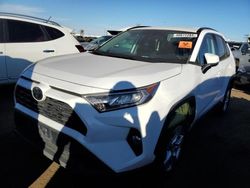 Toyota rav4 xle salvage cars for sale: 2020 Toyota Rav4 XLE