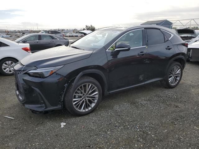 2024 Lexus NX 350H Base