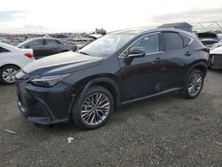 Salvage cars for sale from Copart Antelope, CA: 2024 Lexus NX 350H Base