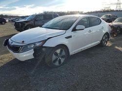 Salvage cars for sale from Copart Anderson, CA: 2013 KIA Optima Hybrid