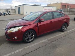 Ford Focus SE salvage cars for sale: 2014 Ford Focus SE