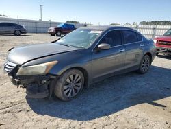 2011 Honda Accord EXL en venta en Lumberton, NC