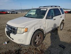 Vehiculos salvage en venta de Copart Vallejo, CA: 2010 Ford Escape XLS