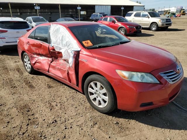 2009 Toyota Camry Hybrid