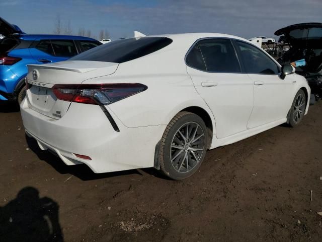 2021 Toyota Camry XLE