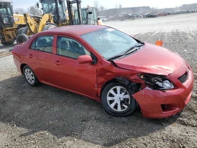 2009 Toyota Corolla Base