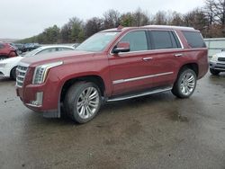 Salvage cars for sale at Brookhaven, NY auction: 2019 Cadillac Escalade L