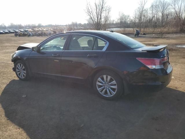 2011 Honda Accord EXL