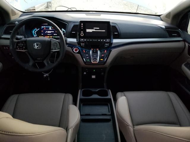 2024 Honda Odyssey Touring