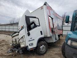 Isuzu salvage cars for sale: 2008 Isuzu NPR