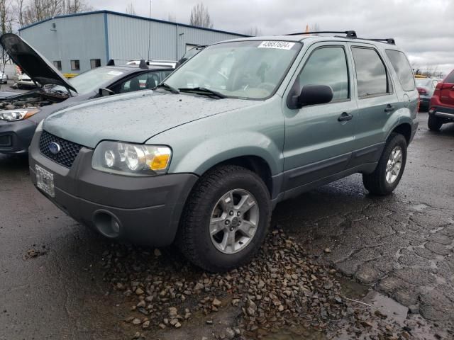 2005 Ford Escape XLT