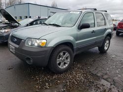 Ford Escape XLT salvage cars for sale: 2005 Ford Escape XLT