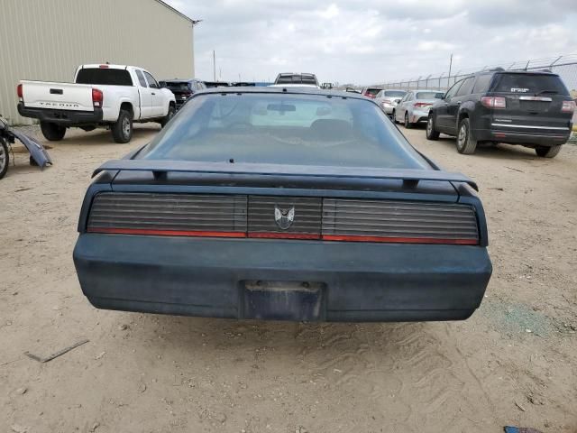 1982 Pontiac Firebird SE