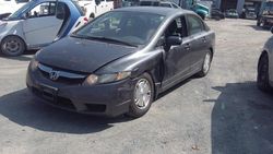 Vehiculos salvage en venta de Copart Rocky View County, AB: 2009 Honda Civic DX-G