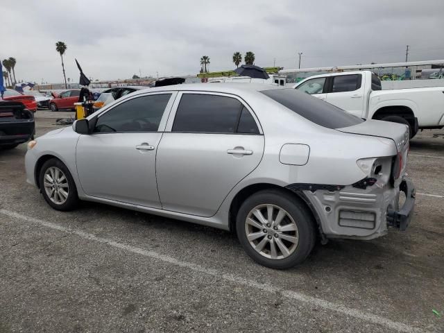 2010 Toyota Corolla Base