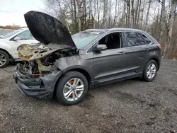 Salvage cars for sale at Cookstown, ON auction: 2019 Ford Edge SEL