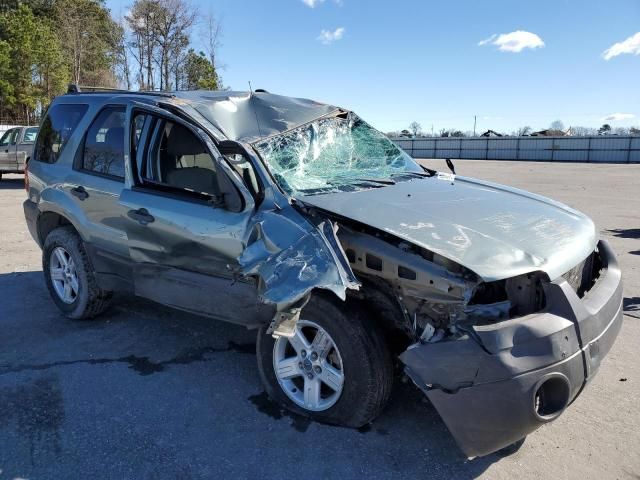 2006 Ford Escape HEV