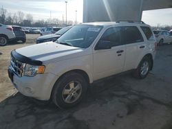 Vehiculos salvage en venta de Copart Fort Wayne, IN: 2011 Ford Escape XLT