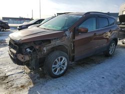 Salvage cars for sale from Copart Nisku, AB: 2017 Ford Escape SE