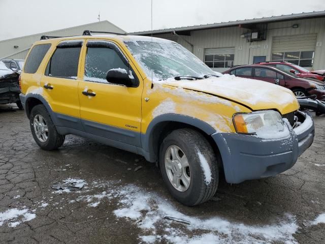 2002 Ford Escape XLT